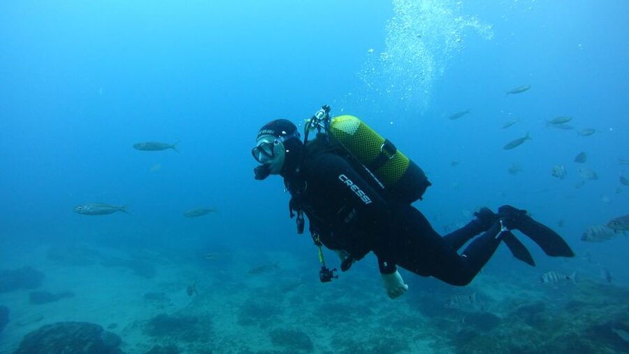 Tenerife: Discover Scuba Diving with Free Photos - Calm shallow water helps you find your rhythm