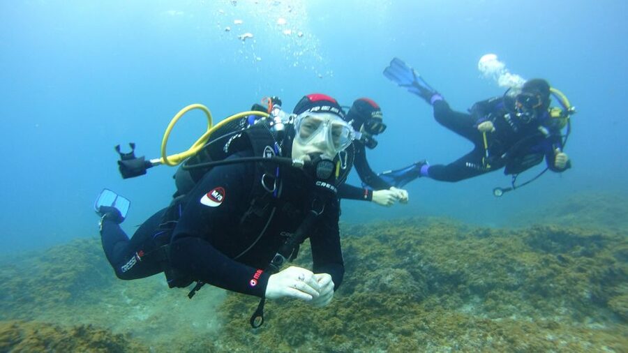 Tenerife: Discover Scuba Diving with Free Photos - Reaching up to 12 meters below Tenerife