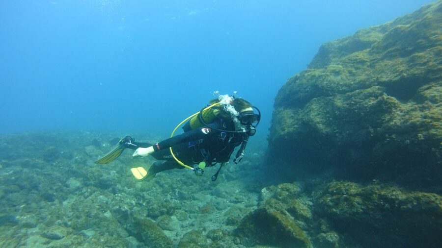 Tenerife: Discover Scuba Diving with Free Photos - What the instructor adds to the day