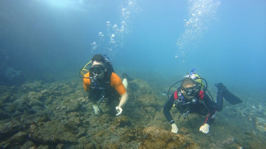 Tenerife: Discover Scuba Diving with Free Photos - Free photos, with modest expectations