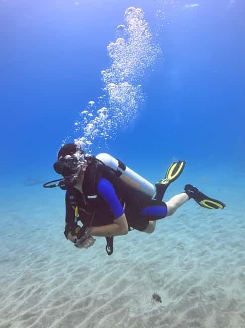 Tenerife: Scuba Dive & Fun, Discover the Magic of the Ocean - The short route to Playa Las Vistas