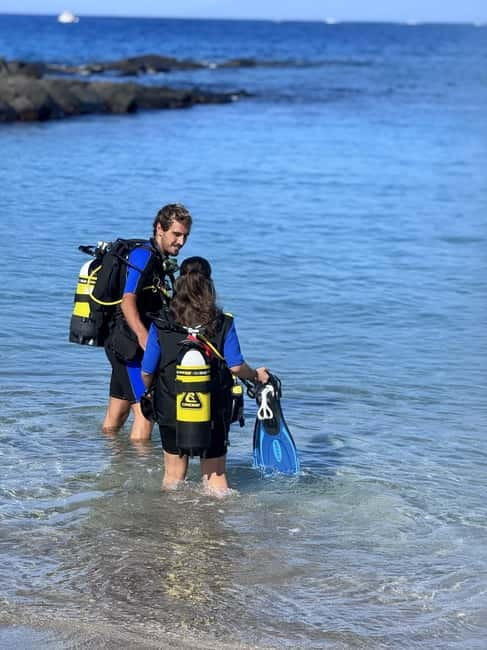 Tenerife: Scuba Dive & Fun, Discover the Magic of the Ocean - Who should book this experience?