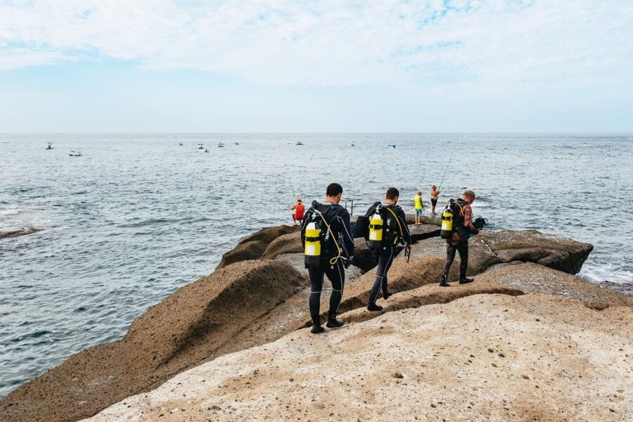 Tenerife: Scuba Diving Experience with Instructor and Gear - Entering the bay and seeing Canarian sea life
