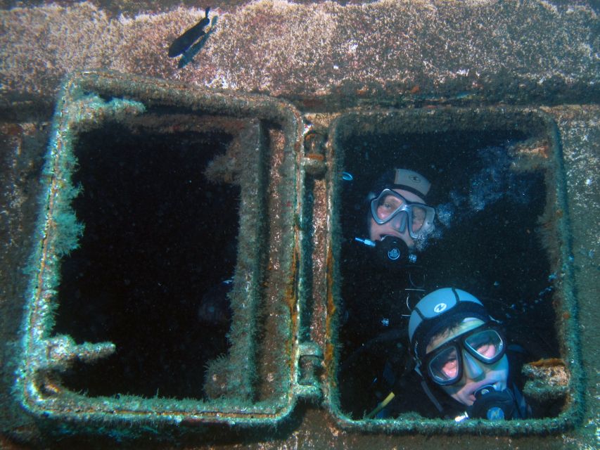 Tenerife Scuba Diving for Certified Divers - Is the Abades scuba outing worth booking?