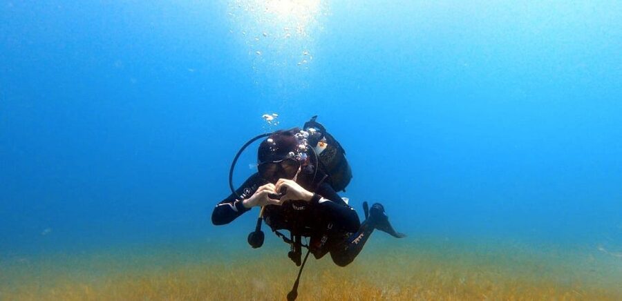 Tenerife: Scuba Diving Lesson and Abades Protected Area Dive - What makes this a good first scuba outing