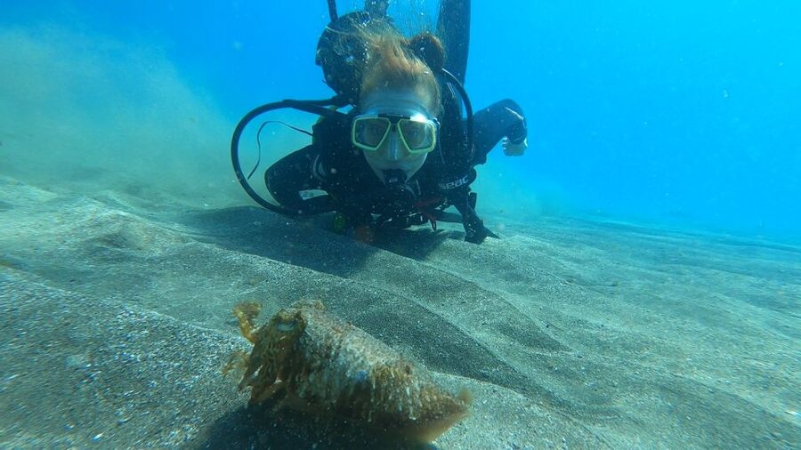 Tenerife: Scuba Diving Lesson and Abades Protected Area Dive - Small details that improve your day