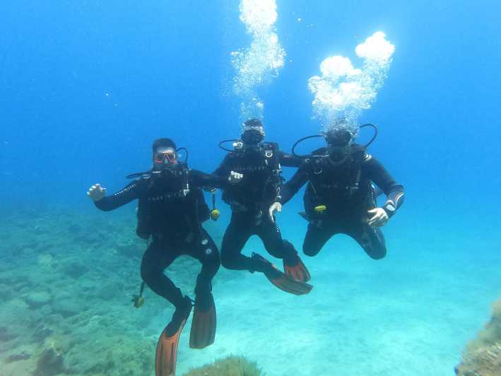 Tenerife south: Scuba Dive for beginners in Adeje - Starting at 8:45 at the GF Isabel Hotel