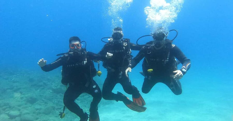 Tenerife south: Scuba Dive for beginners in Adeje - The lesson that makes beginners feel ready