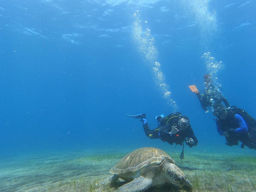 Tenerife south: Scuba Dive for beginners in Adeje - Who should book this Adeje experience