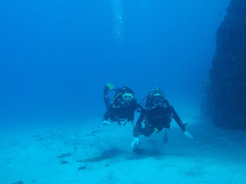 Tenerife south: Scuba Dive for beginners in Adeje - Practical details before you reserve