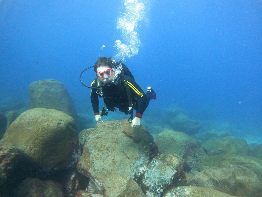 Tenerife: Your First Scuba Diving Experience in Turtle Area - Why the instructors matter more than the equipment