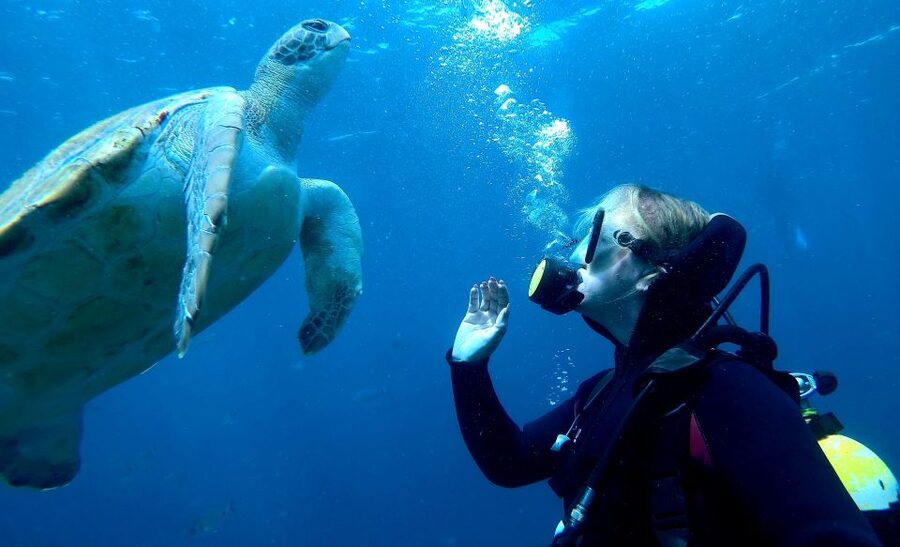 Tenerife: Your First Scuba Diving Experience in Turtle Area - Who should book this Tenerife activity