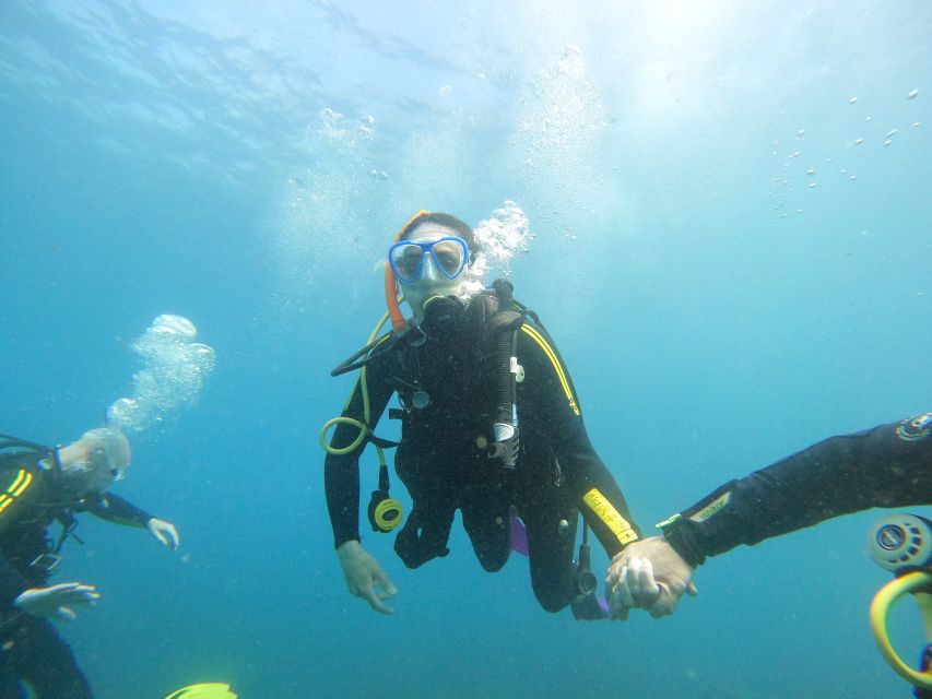 Tenerife: Your First Scuba Diving Experience in Turtle Area - A few limits worth knowing before you book