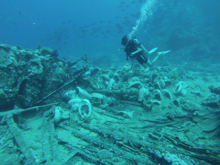 Tiran Island: Full-day Snorkeling, Diving Boat Trip - Red Sea reefs from a Sharm El Sheikh boat