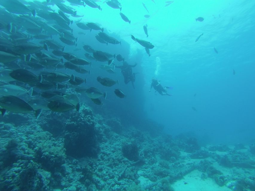 Tiran Island: Full-day Snorkeling, Diving Boat Trip - Lunch, drinks, and life onboard