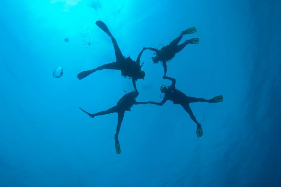Tossa de Mar: PADI Discovery Scuba Diving in Costa Brava - The included video is a real bonus