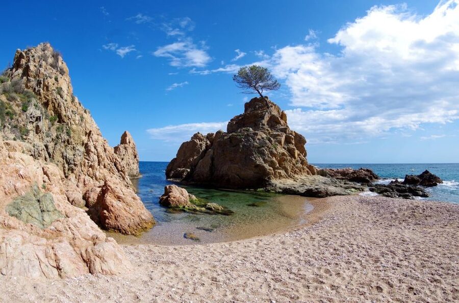 Tossa de Mar: PADI Scuba Diver Certification Course - A full day of PADI training in Tossa de Mar