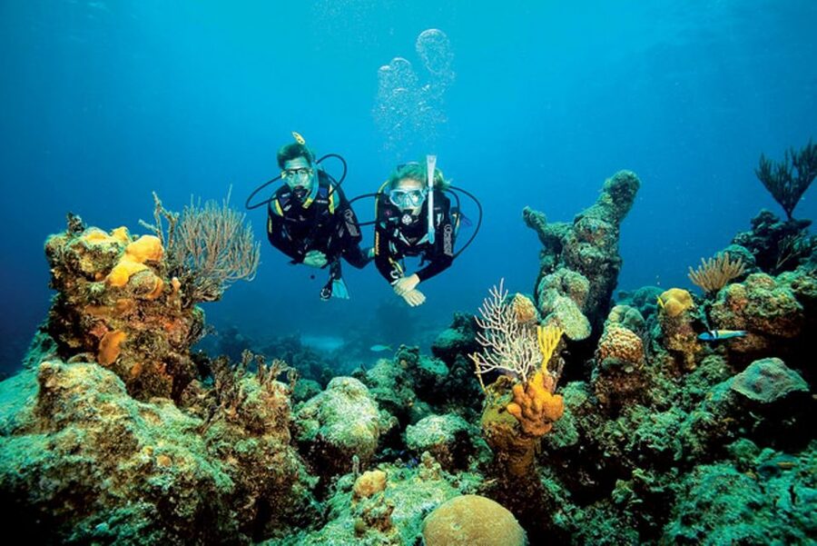 Tossa de Mar: Scuba Diving Experience for Beginners - What the three-hour Tossa de Mar session is really like
