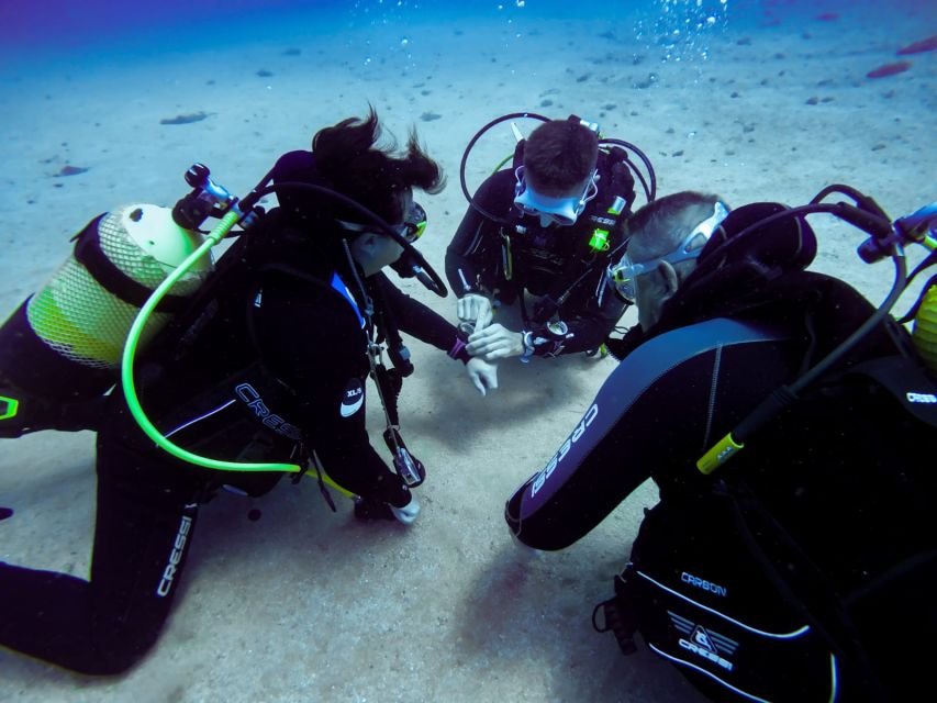 Tossa de Mar: Scuba Diving Experience for Beginners - Is this suitable for children and nervous beginners?