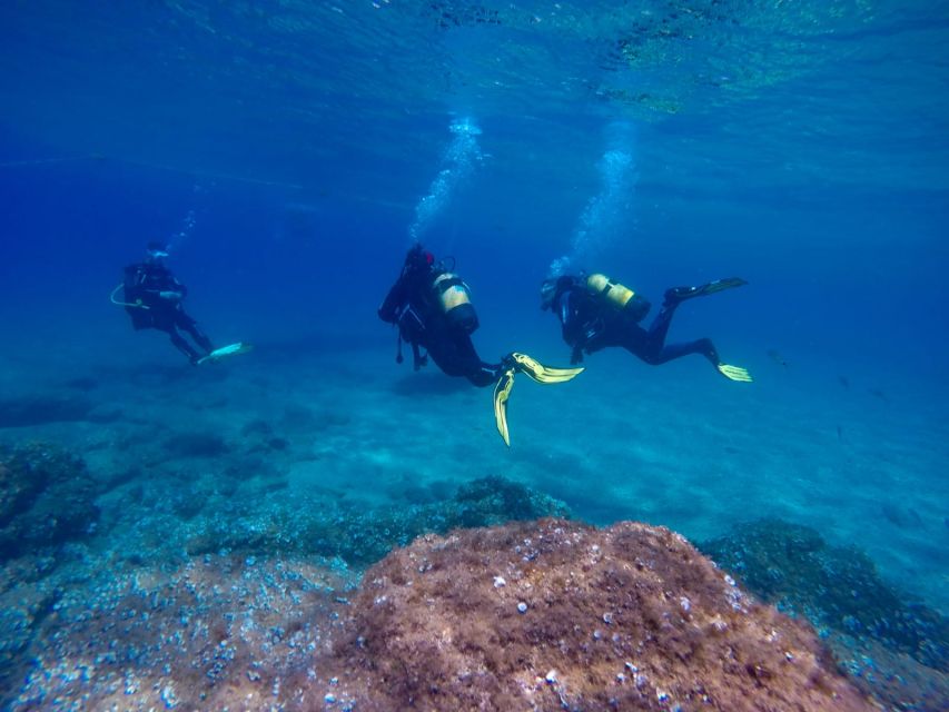 Tossa de Mar: Scuba Diving Experience for Beginners - Learning to breathe underwater before meeting the fish