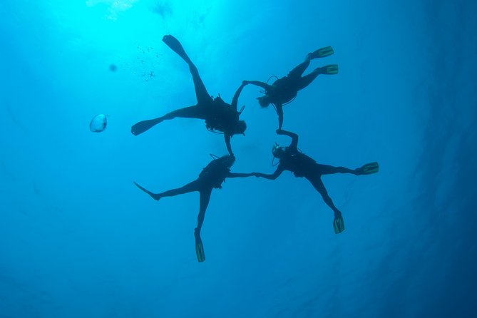 Tossa de Mar Scuba Diving PADI - Fish, octopuses, and a reason to look around