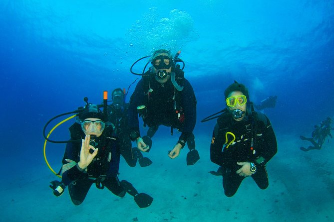 Tossa de Mar Scuba Diving PADI - Who will enjoy this most?
