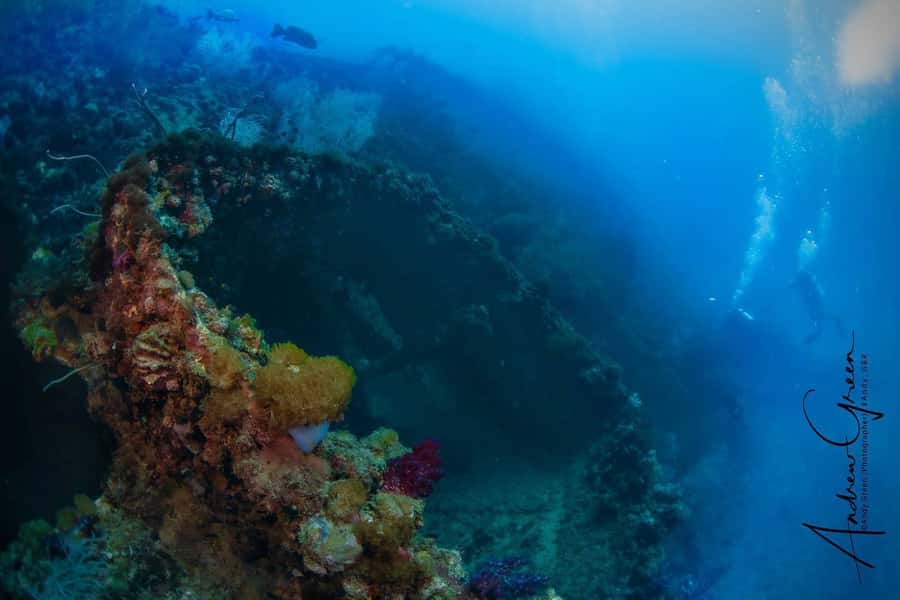 Townsville or Magnetic Island: Yongala Wreck Dive Day Trip - Choosing Townsville or Magnetic Island as your starting point