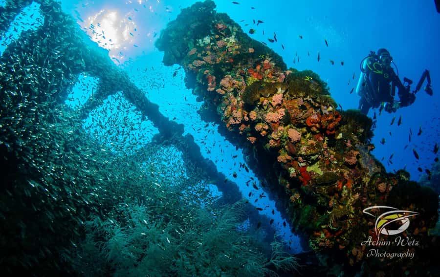 Townsville or Magnetic Island: Yongala Wreck Dive Day Trip - The three-hour run to the wreck