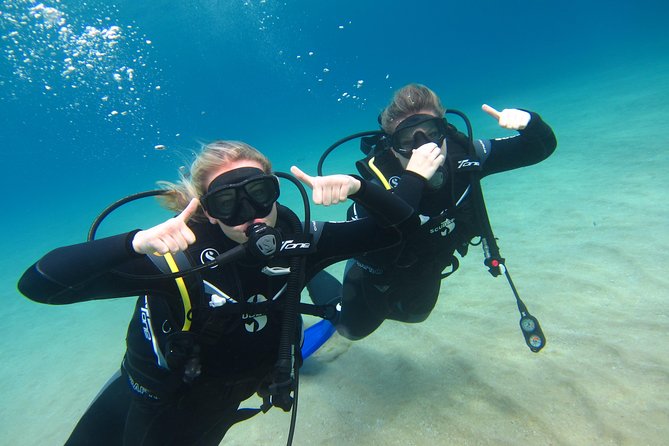 Try a DIVE, discover scuba diving in Mykonos - What the Underwater Photos Add