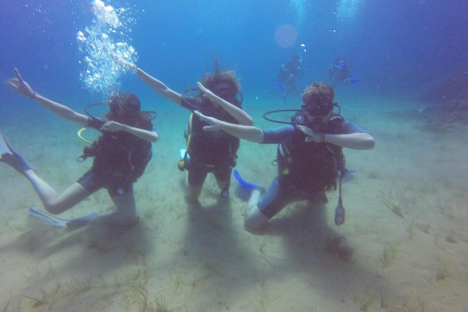 Try a DIVE, discover scuba diving in Mykonos - How Much Value You Get for $193.57
