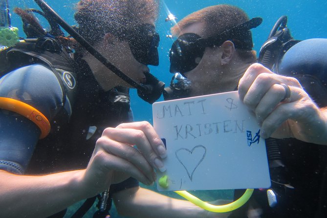 Try a DIVE, discover scuba diving in Mykonos - Who Should Book This Experience