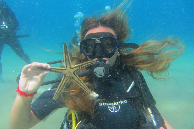 Try a DIVE, discover scuba diving in Mykonos - Swimming Along Lia Reef