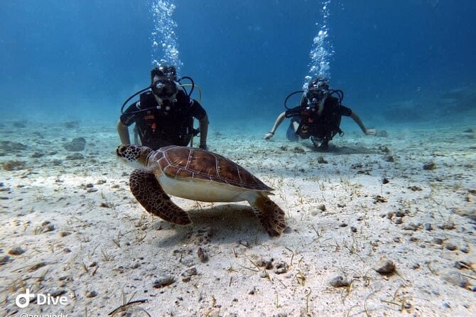 Try a Scuba Diving Experience - Making your first underwater excursion