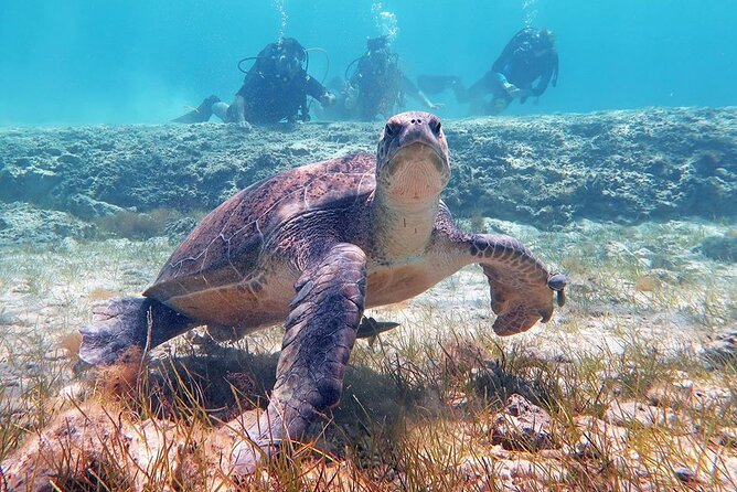 Try a Scuba Diving Experience - Why the instructors matter so much