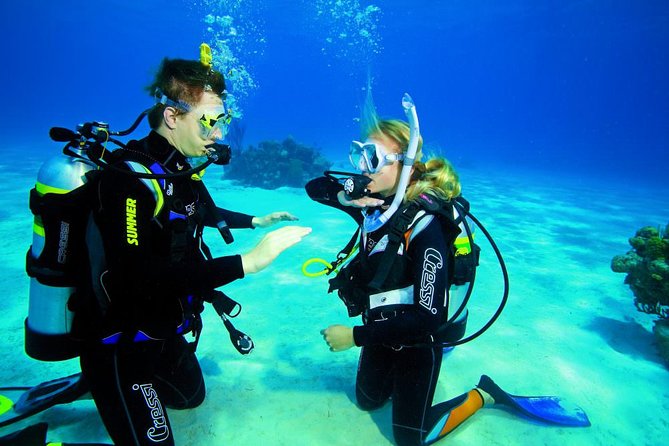 Try Dive - PADI Discover Scuba Diving in Tenerife - What the $156.07 price covers