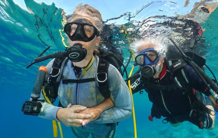 Try diving for the first time in turtle area - Looking for turtles, fish, and octopus