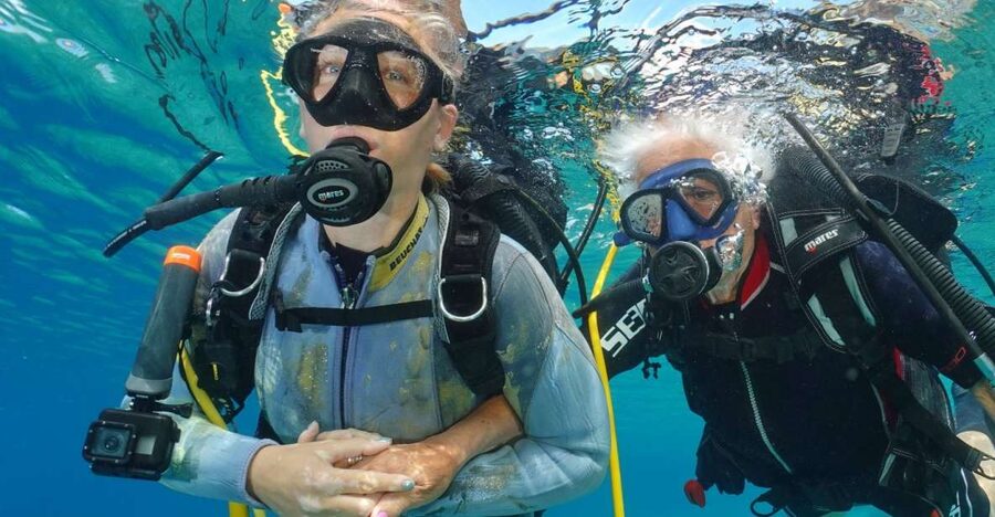 Try diving for the first time in turtle area - Why the private group matters