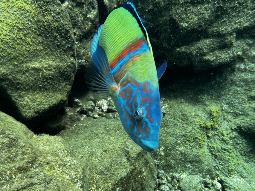 Try diving for the first time in turtle area - Learning the basics before entering the sea