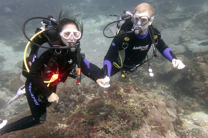 Try Diving in Blue Lagoon Padangbai Bali for non-certified divers - Learning the basics before entering the water