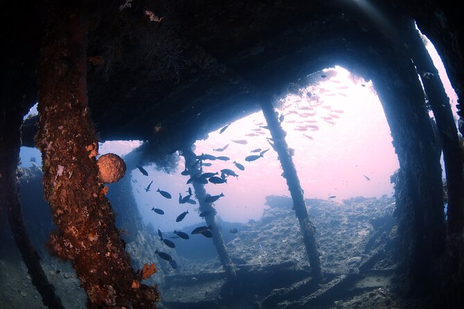 Try Diving in Tulamben - Shipwreck - Key points to know before you book