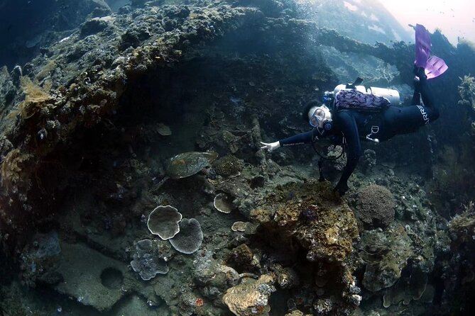 Try Diving in Tulamben - Shipwreck - What the underwater sessions are like