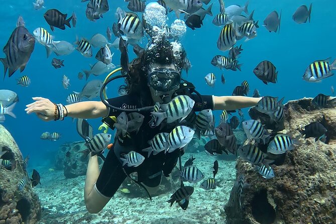 Try diving without previous experience from shore - What the three-hour schedule feels like