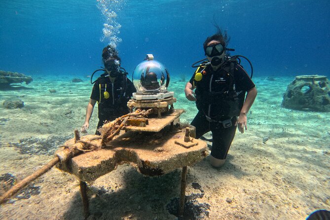 Try diving without previous experience from shore - Booking, timing, and cancellation details