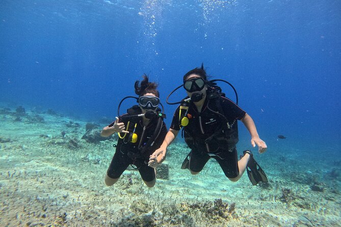 Try diving without previous experience from shore - Exploring the Cousteau underwater museum