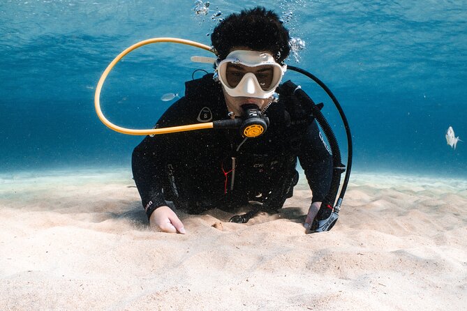 Try Scuba Diving | 1 dive - My verdict on this Costa Teguise scuba session