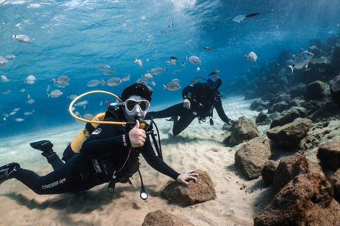 Try Scuba Diving | 1 dive - A 40 to 50 minute introduction below the surface