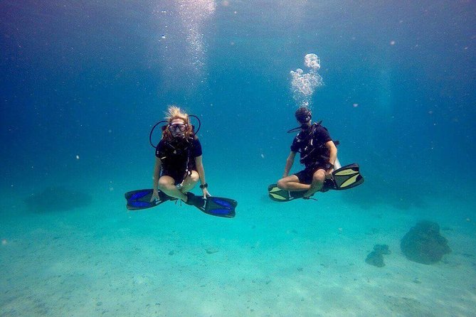 Try Scuba Diving - Key points at a glance