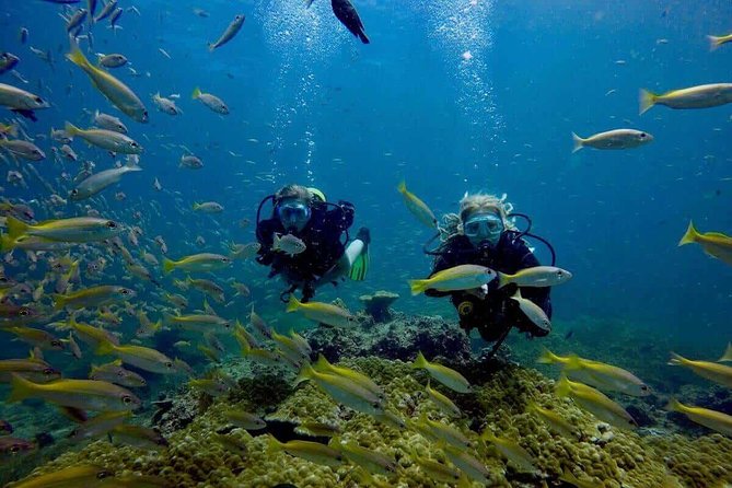 Try Scuba Diving - Your first breaths underwater near Koh Nang Yuan