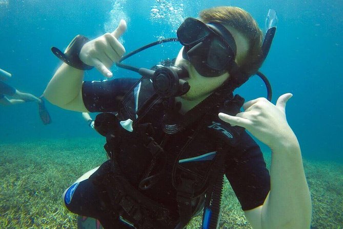 Try Scuba Diving - Coral, fish, and the chance of a turtle sighting