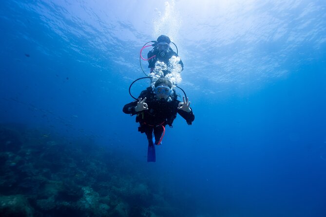 Try Scuba Diving at Cook Island – Guided Ocean Dive with Turtles - Cook Island scuba experience: key points